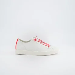 Paul Green 5452-017 White