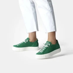 Paul Green 5017-233 Green Hot