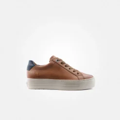 Paul Green Pauls Brown Hot