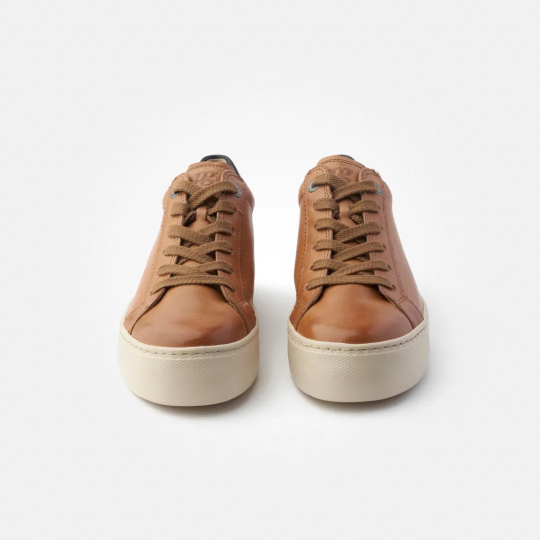 Paul Green Pauls Brown Hot
